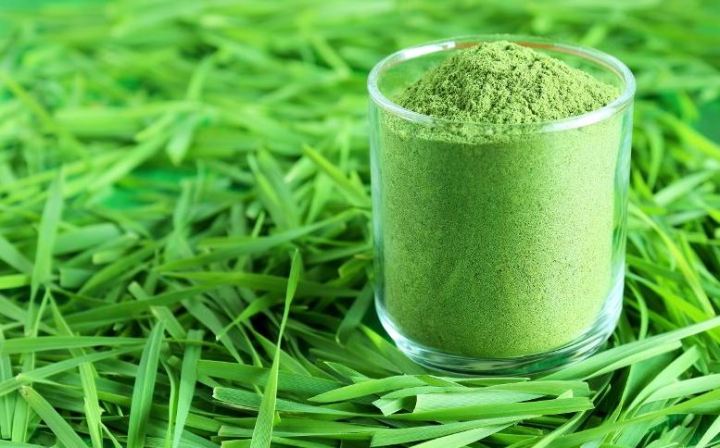 Wheat%20Grass%20%20%20Powder%20%20%20%20%20%20%20%20%20Wheat%20Grass%20%20%20Powder%20%20%20%20%20%20%20%20Wheat%20Grass%20%20%20Powder%20%20%20%20%20%20%20%20%20Wheat%20Grass%20%20%20Powder%20-%20Image%203