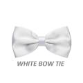 Imported Silk Bow Tie for Kids (Black Blue Brown Blue Grey White Red Maroon). 