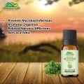 Artemisia Essential oil – Wormwood Essential Oil – Acts as an Emmenagogue, Relieves Nervous Afflictions & Prevents Microbial Infections. 