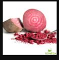 Beetroot Powder     Beetroot Powder     Beetroot Powder. 
