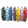 Spike Collar For Medium Dogs. 