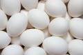 18 Piece - Artificial Plastic Egg Shell (Basic Learning Egg for Kids) Artificial Eggs - Hollow Egg Shell. 