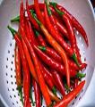 Cayenne Pepper Seeds Hot Chilli Pepper. 