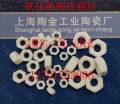 Zirconia ceramic screw nut high temperature corrosion resistant insulating bolt inner hexagon M2M2.5M3M4M5M6M8. 