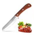 Unique And Sharp Fruit Knife Imported Kitchen Knife with Wooden Handle - 8.5 inch. 