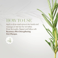 Mielle Organics Rosemary Mint Strengthening Shampoo Infused with Biotin, Cleanses and Helps Strengthen Weak and Brittle Hair, 355ml. 