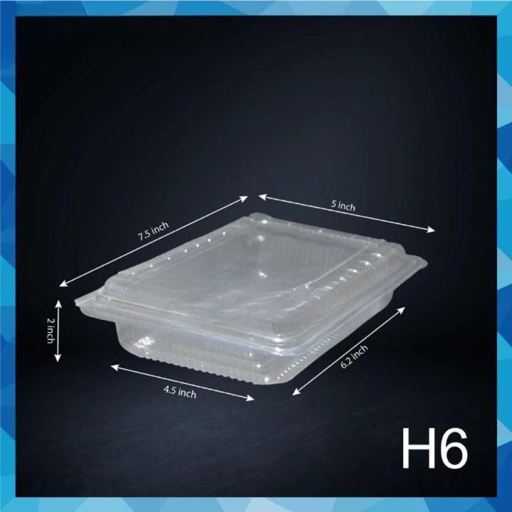 Frozen Food Plastic Box With Lid - H6