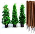 Plant Stick (4 Ft) Straightener For Climbing Indoor Plants / Money Plants Pack Of 1,2,3,4,5. 