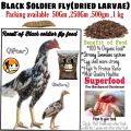 Black Soldier Flies Dried Larvae (1 Kg)  "Bsfl". 