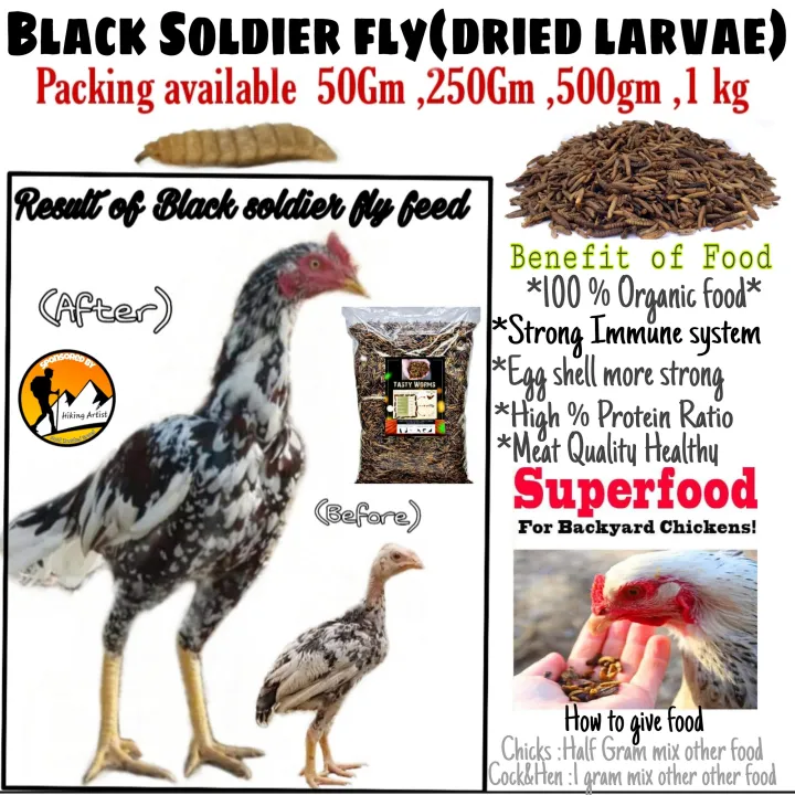 Black%20Soldier%20Flies%20Dried%20Larvae%20(1%20Kg)%20%20"Bsfl"%20-%20Image%2010