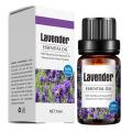 "Lavender Elegance: 100% Pure Therapeutic Grade Essential Oil, Steam Distilled for Unmatched Purity - Vegan and Aromatherapy-Approved for Your Ceramic Diffuser - Pure, Concentrated Bliss in Every Drop (10ml). 
