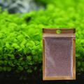 Big leaf Aquarium seeds. 