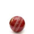 Hard Ball - Cricket Harball. 