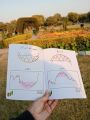 Trading Book (Pack of 3) Simple Trading Book  How To Day trading for Living  Chart Pattern Book. 