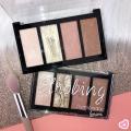 Highlighter and Contour Kit [4 in 1] - Branded - Strobing Professional Blusher Iluminador  Makeup Kit  Powder Sculpting Palette by Luisance. 