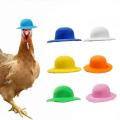 Chicken Hat for Hens Tiny Pets Funny Chicken Accessories Hen Top Hat for Rooster Duck Parrot Hamster Poultry Stylish Show Costum. 