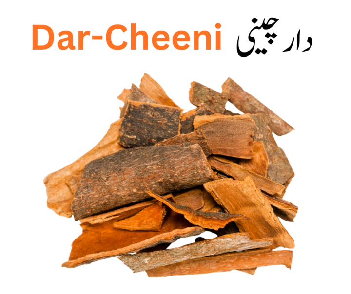 Dar Cheeni | Gram Masala Item | 100 Gram