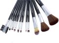 New Mac Make up Brush pack of 12. 