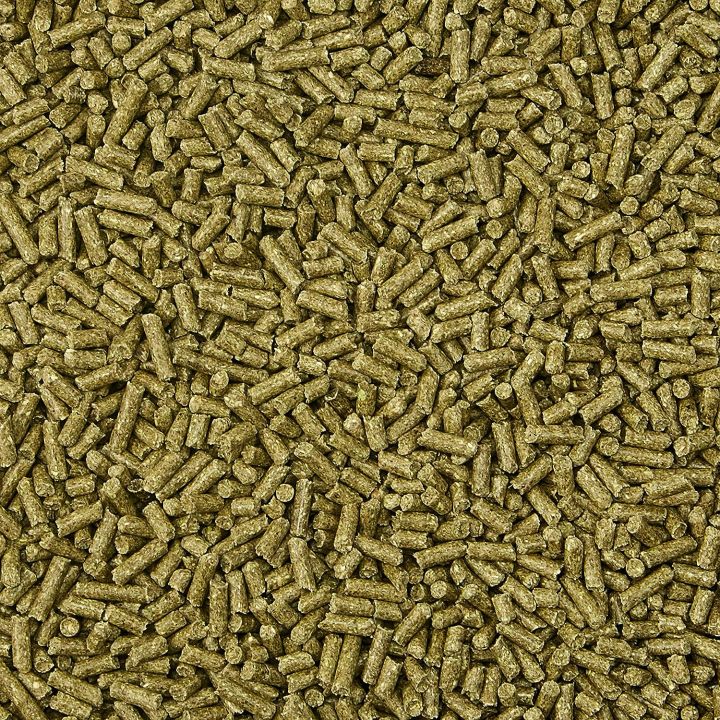 Kaytee%20Timothy%20Complete%20Rabbit%20Food%201kg%20pack%20-%20Image%202