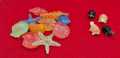 14 Pieces Bag 10 Luminous Stones 4 Tortoise Conch Shell Stone Aquarium Fish Tank Landscaping Decoration stone for fish tank aquarium multipurpose decoration stone. 
