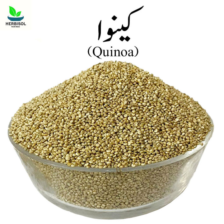 Quinoa 1KG کینوا - Kinnow Seed - 100% Original, Fresh and Pure Kinwa / Quonia / Qunoa / Qunioa Seed 1000 grams by Herbisol