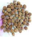 GUL MANDI WHOLE|DRY|50:GRAM|GUL-E-MUNDI|Gorakh Mundi - Sphaeranthus Indicus - East Indian Globe Thistle. 