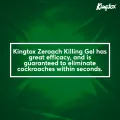 Kingtox Zeroach Roach Killing Gel 10gm. 
