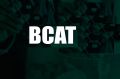 BCAT for IBA Entry Test Guide – Dogar Brothers. 