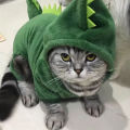 Pet Cat Clothes Puppy Dog Cat Funny Dinosaur Costume Winter Warm Plush Cat Coat Fleece Hoodies Sweater Small Dog Kitten Clothing. 