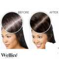 Wellice Professional Ginseng Hair Growth Shampoo & Repair Damaged Hair 400g. 