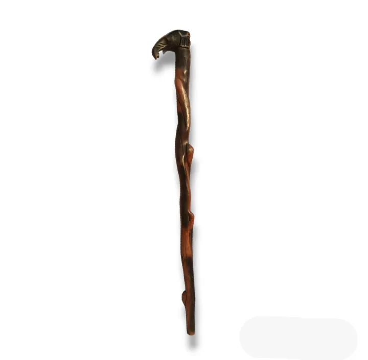 Elephant Trunk Walking Stick, Wooden Walking Stick, Unique Walking ...