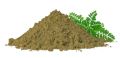 Bhumi Amla Powder- Phyllanthus Niruri-Bhumi Aamla Pure Organic Bhoomi Awla 228g. 