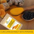 Curcumin Extract with Piperine Extract (Superior Turmeric, Black Pepper Extract) Immune & Joint Support, Maximum Absorption, 100 grams. 