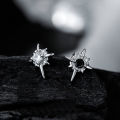 Trend Black Zircon Star Stud Earrings for Men Women Black Couple Personality  Earrings Party Accessories Jewelry. 