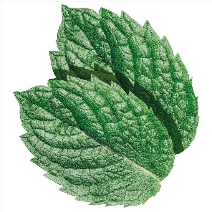 Chewing%20gum%20%7CWRIGLEYS%20%20Extra%20chewing%20gum%20(SWEET%20MINT)%20(SPEARMINT%20)%20(PEPPERMINT%20SUGAR%20FREE)%20%7C%20PACK%20OF%203%20%7C%20In%20original%20&%20best%20quality%20imported%20%7C%2064g*3%20-%20Image%202