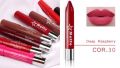 Pack of 2- Supreme  Quality Original Matte Chubby Lip Crayon for Girls .Moisturizing & Hydrating .. 