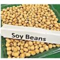 Soy beans 1000g. 