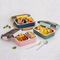 2 Compartment Leak Proof Insulated Stainless Steel BPA Free Insulated Lunch/Tiffin Box with Removable Inner Plate for Women and Men Office, Kids to School, Tiffin Boxes, Lunch Box. 