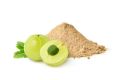 HEALTHVIT AMLA POWDER 100 GMS. 