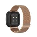 For Fitbit Versa 3 / Fitbit Sense Magnetic Milano Watch Band, Size:Large Size. 