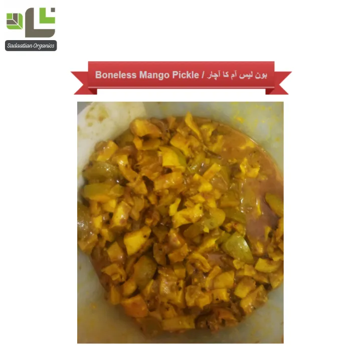 Boneless%20Mango%20Pickle%20/%20Boneless%20Mango%20Achaar%20-%201%20kg%20-%20Image%202