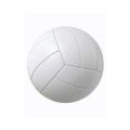 Mehtab Volley Ball (Champion) - Free. 