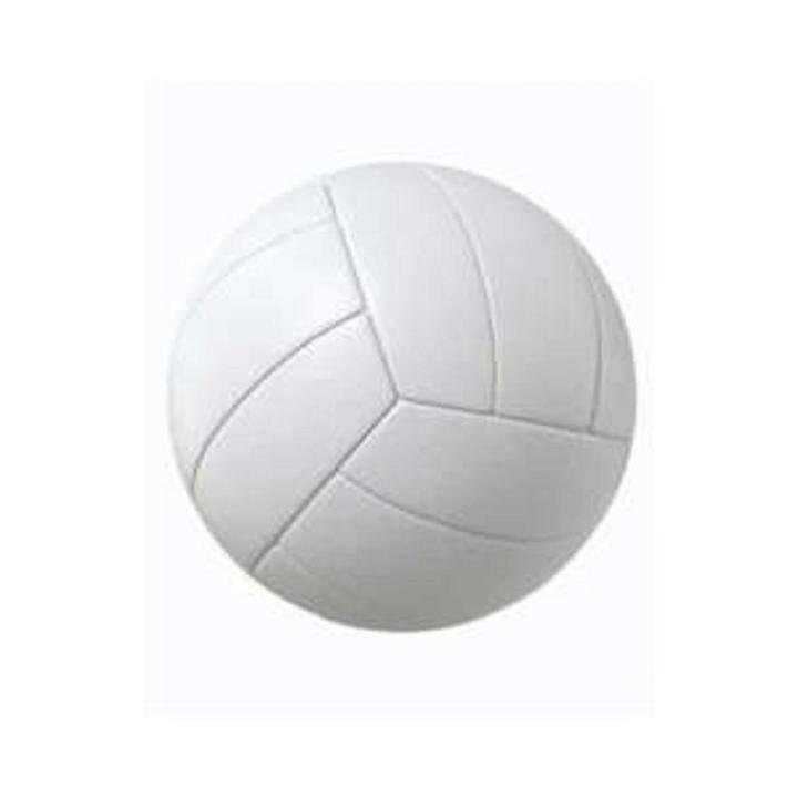 Mehtab Volley Ball (Champion) - Free