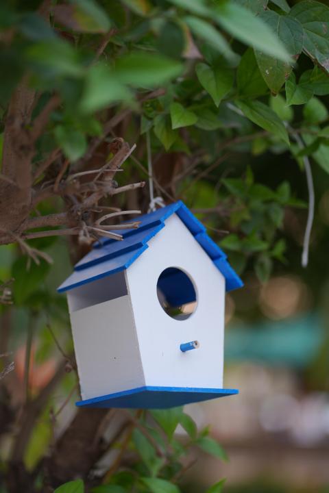 Bird%20House%20Set%20%E2%80%93%204%20Pcs%20PVC%20Waterproof%20Outdoor%20Bird%20Nesting%20Boxes%20for%20Garden%20&%20Balcony%20-%20Image%205