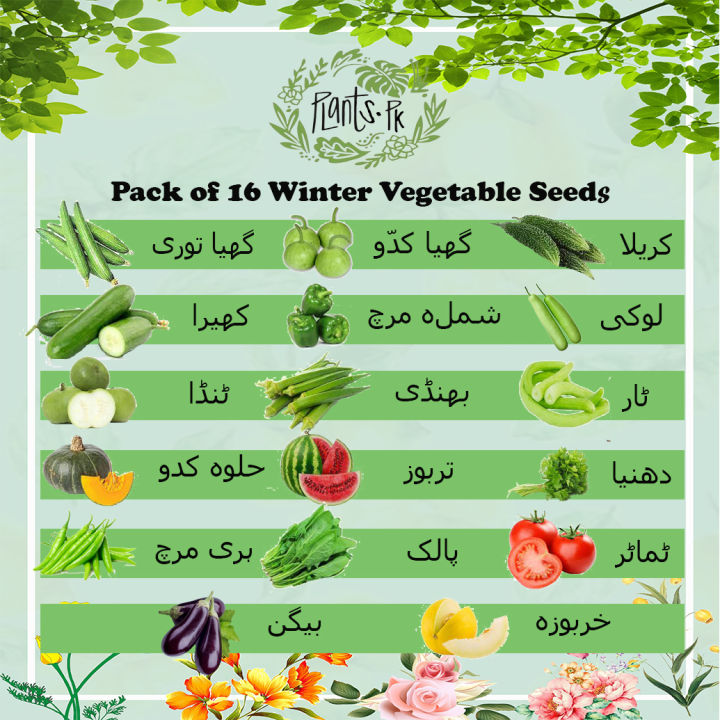 Pack of 10 or 16  summer vegetable seeds