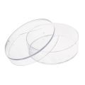 【Top Picks】 Platic Petri dihe-10 piece x Petri dih-Clear. 