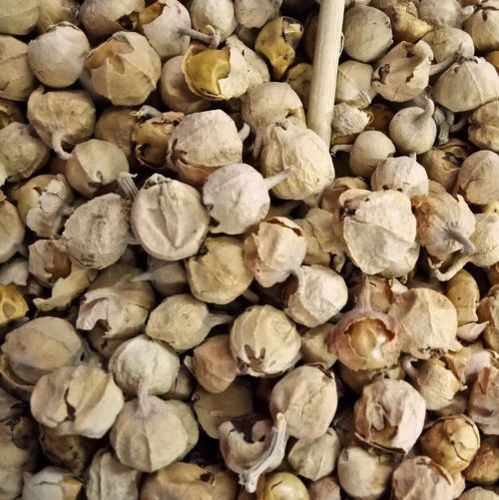 Paneer%20Booti%20-%20Paneer%20Dodi%20-%20114%20Grams%20-%20Image%203