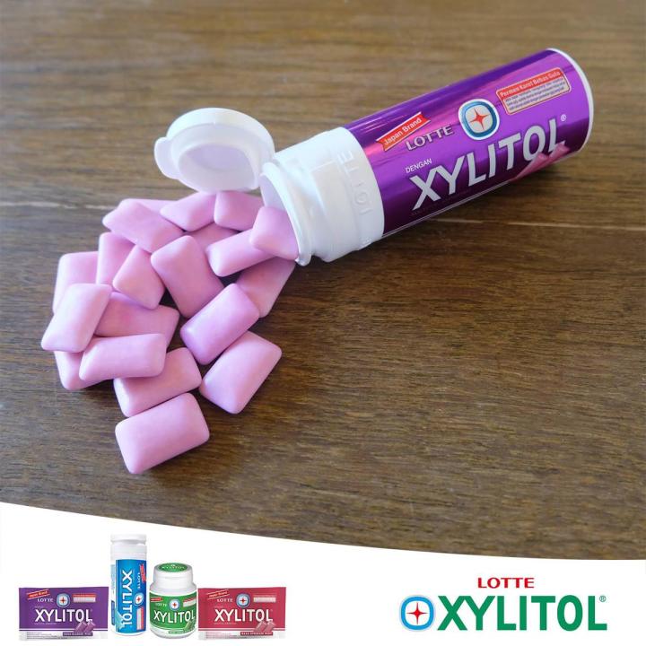 Lotte Xylitol Chewing Gum, Sugar Free, Blueberry Mint Flavor, Halal for Healthy Teeth & Gums 27gm (Pack of 3)
