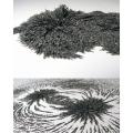Iron filling, Iron Sand, Iron Powder For Science Education & Kids Toy 70G. 