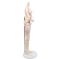 1pc Doll Stand Support for Barbie Dolls Adjustable Prop Up Mannequin Model Display Holder For Ken Doll Accessories Kids DIY Toy. 
